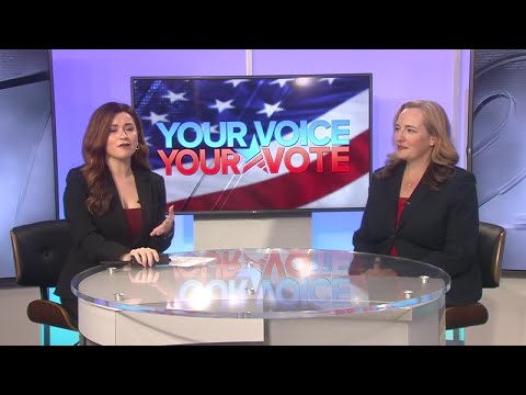 Sen. Kelda Roys announces gubernatorial run, Democratic field grows