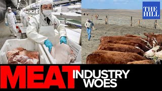 Jd Scholten Crisis Shows How Monopolies Are Killing Meat Industry, Farmers