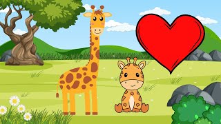 Hayvanlar Alemi Zürafalar Ile Tanışın Okul Öncesi Bilgiler Ve Resim Boyama Videoları