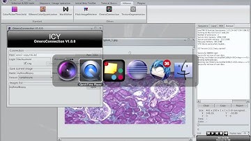 ICY Plugin - Omero connection