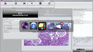 ICY Plugin - Omero connection
