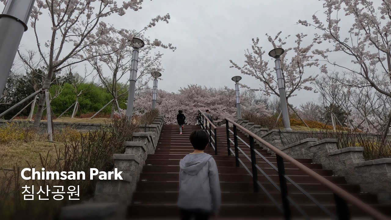 Chimsan Park 침산공원 - YouTube