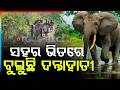 ସହର ଭିତରେ ଦନ୍ତା | Wild Tusker Creates Panic In Municipality Area | Forest Department | Argus News