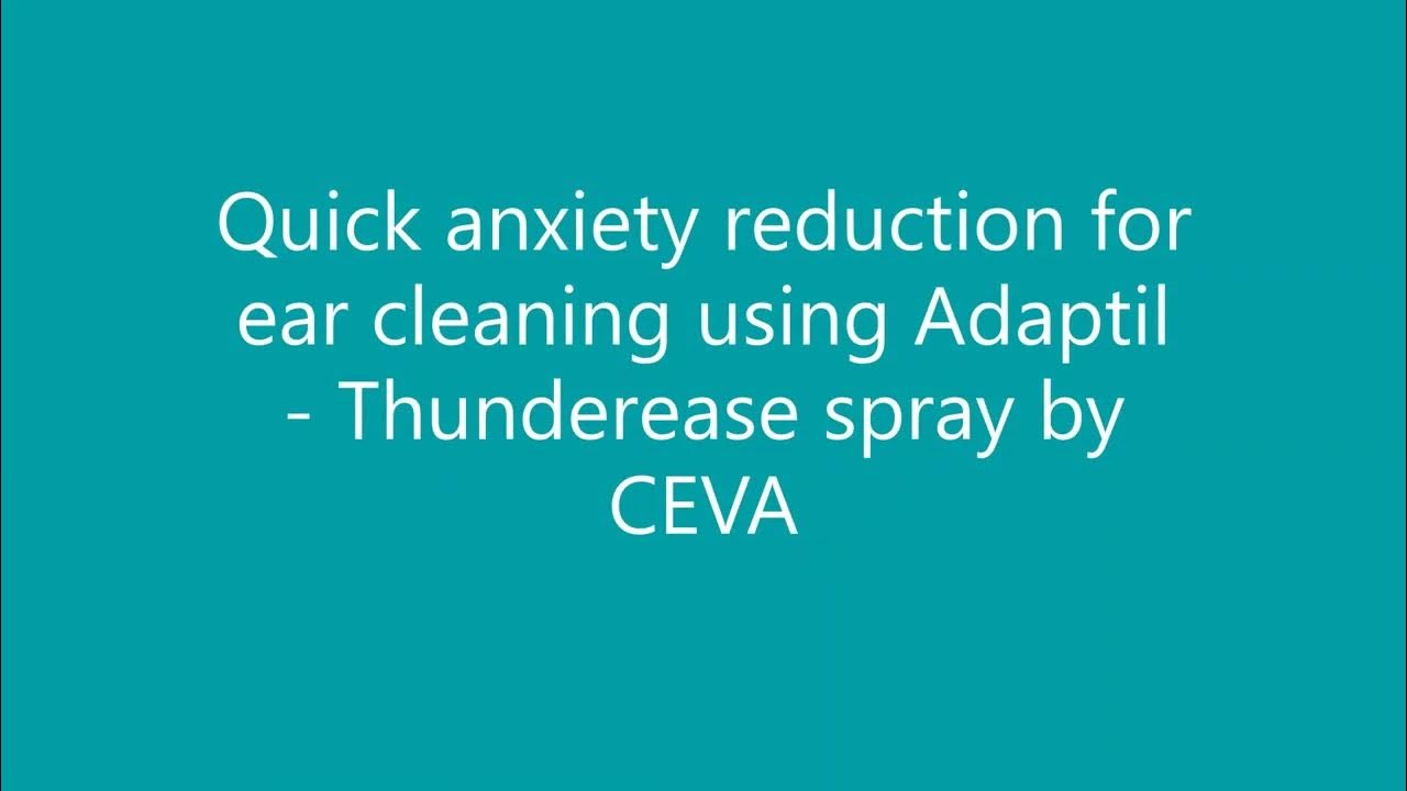 Quick anxiety relief for ear cleaning using Adaptil Thundercalm spray YouTube