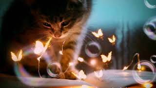 Story Wa Sedih//  Lovarian-Vin