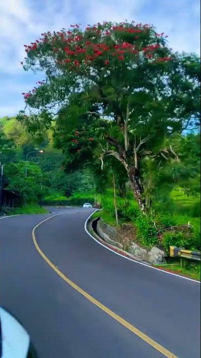 PUNCAK BOGOR #shorts