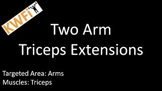Fit1Too Backpack Triceps Extensions