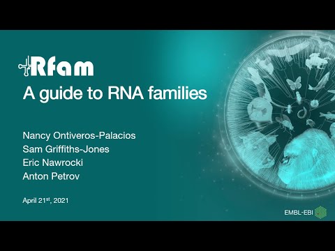 A guide to RNA families