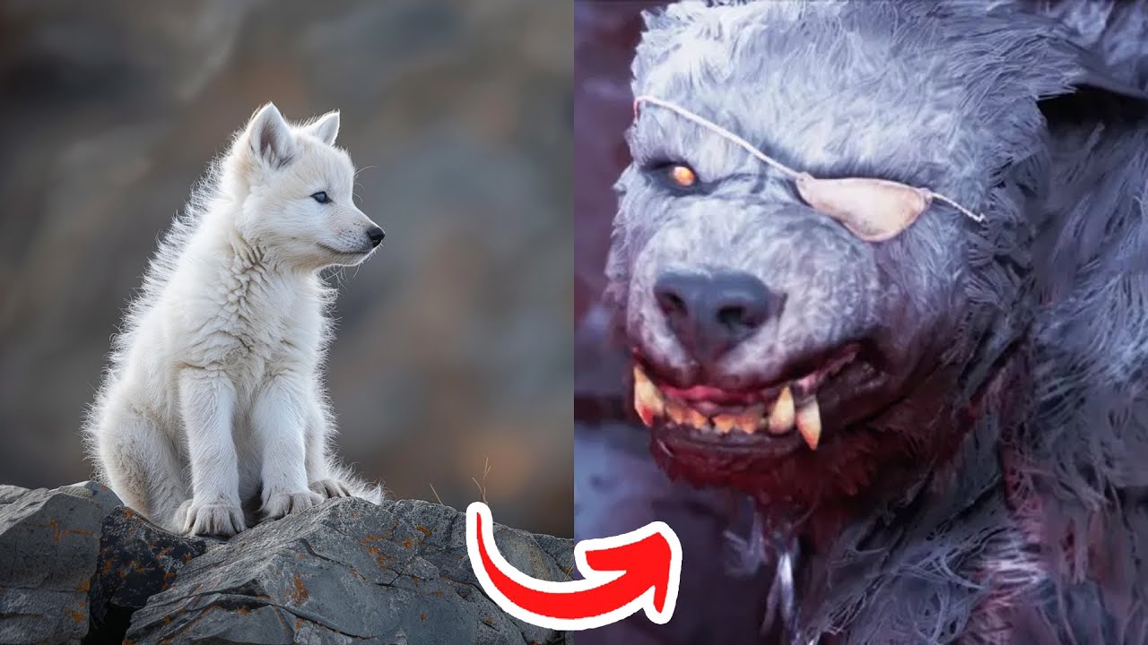 Before & After Animals Growing Up. Amazing Animal Transformation 💥 #short #tiktok #animals