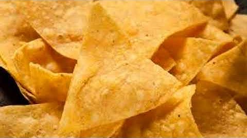 GMO PCR LAB Ian Judd