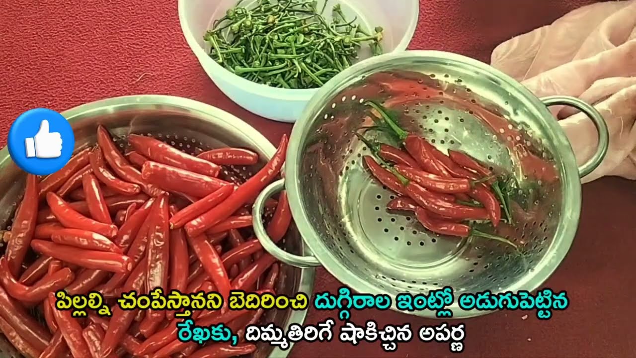 పిల్లల్ని చంపేస్తానని బెదిరించి దుగ్గిరాల ఇంట్లో అడుగుపెట్టిన రేఖ