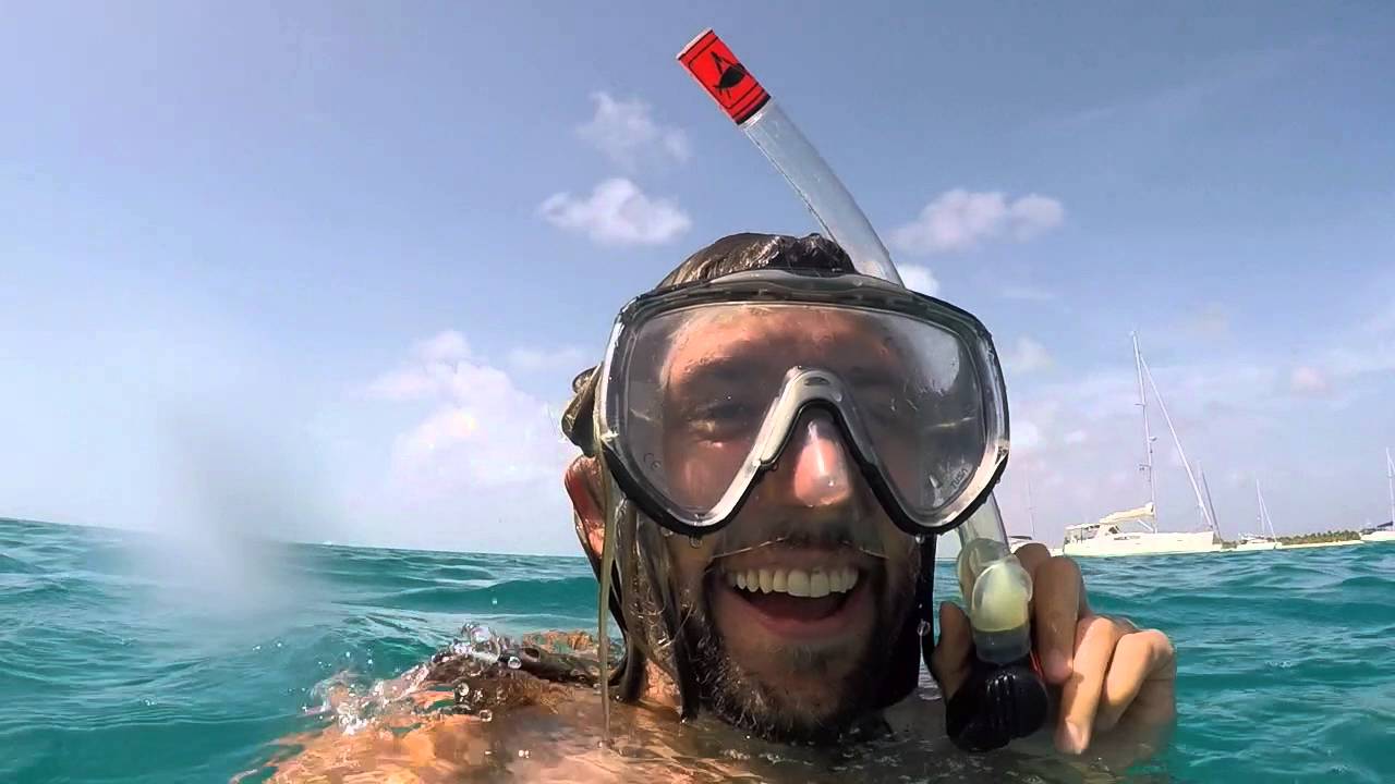 Green Turtle just off the side of our boat in Barbuda YouTube