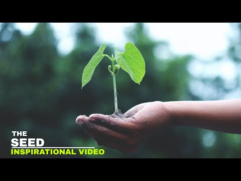 THE SEED :: INSPIRATIONAL SHORT FILM :: Be Motive