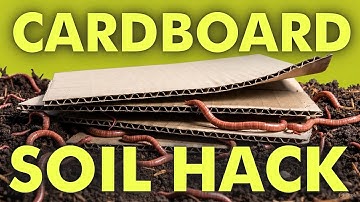 Why Gardeners Are Ditching Compost for THIS Simple Soil Trick