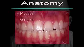 Demo T2 Gingival Recession: Oral Examination and Diagnostic Guidelines