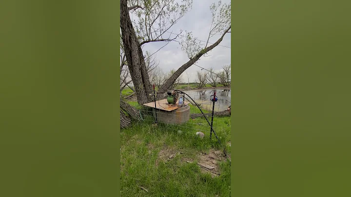 Osterberg homestead cutting powerline tree