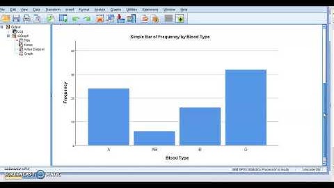 Creating Bar and Pie Charts in IBM SPSS.