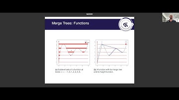 Matteo Pegoraro (5/10/23): Data Analysis with Merge Trees