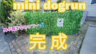 まだまだ続くよＤＩＹ☆完成！ミニドッグラン