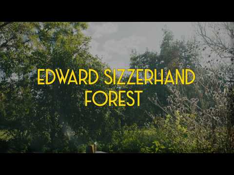 Edward Sizzerhand - Forest