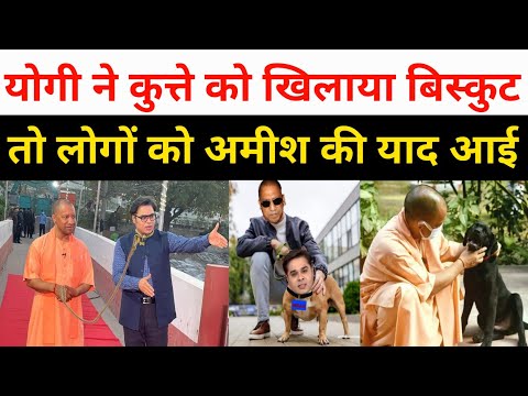 वीडियो: क्या अमीश के पास उच्चारण हैं?