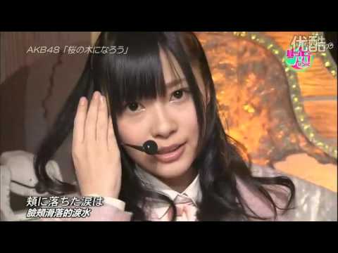 AKB48 桜の木になろう
