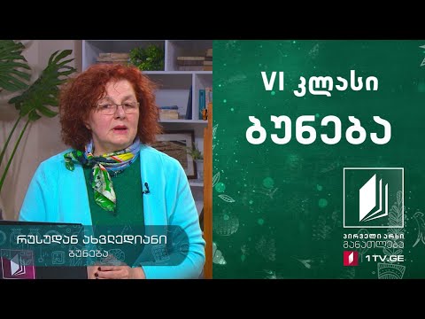 ბუნება, VI კლასი - ენერგიის წყაროები. ენერგიის გარდაქმნა #ტელესკოლა