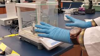 The Electronic Balance