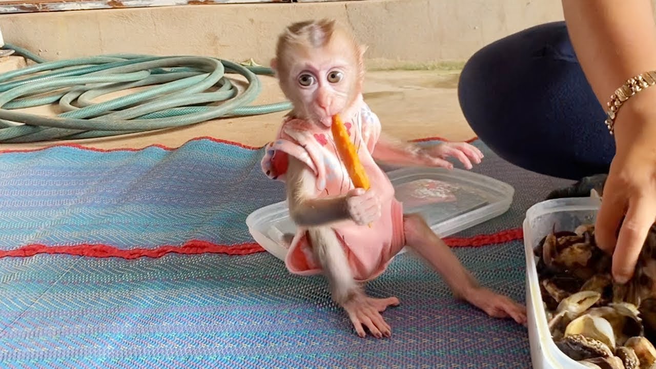 Baby DORN Yummy Eating Potato Chip Accompany Mom Make Pickle Crab