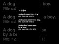 알맹이만 통째로 습득하는 독해영어문법 - 2수동태