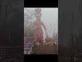 Delhi's winter and fog