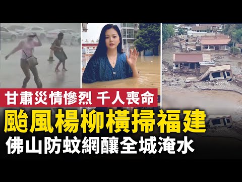 中國進入災難模式！颱風楊柳橫掃福建，廣東！佛山防蚊網封井蓋，