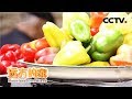 《远方的家》 20180309 一带一路（314）塔吉克斯坦 帕米尔见闻 | CCTV中文国际