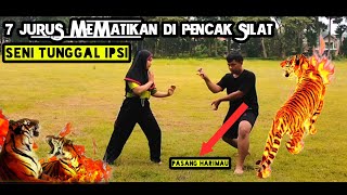 7 GERAKAN Mematikan Di Jurus Seni Tunggal Pencak Silat.