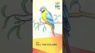 Learn how to draw Macaw Parrot | Red Parrot drawing | Pencil color drawing | painting | Be creative Update