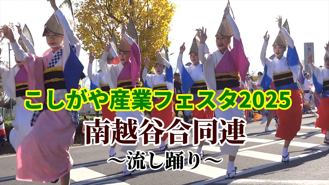 【こしがや産業フェスタ2025】阿波踊り～南越谷合同連の流し踊り～（2025/11/29）