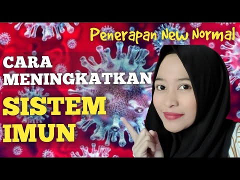 Sistem Kekebalan Tubuh Pada Manusia Mekanisme Jenis Sistem Kekebalan Tubuh Pada Manusia Mekanisme Jenis