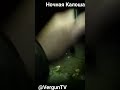 Ночная щедрая Калоша на крупного карася  #рыбалка #verguntv #фидер #река_днепр #6_сотня #галоша