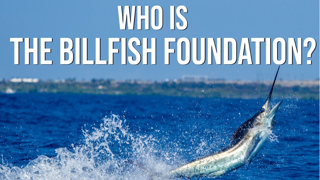 The Billfish Foundation | Who We Are