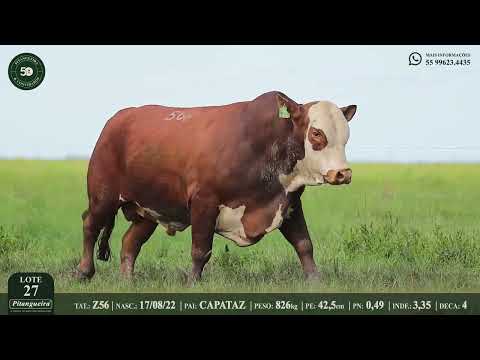 LOTE 27  Z56