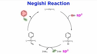 Negishi Reaction