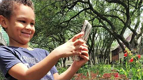 Houston City Nature Challenge 2020