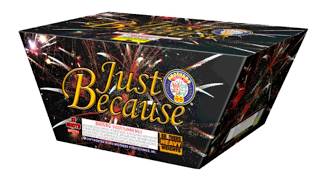 JUST BECAUSE 500 GRAM CAKE FROM @BrothersPyrotechnics #fireworks #demo #pyro #pyroaddicts