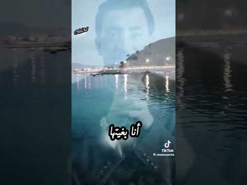   دبري راسك ديري رايك