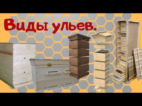 Виды ульев для