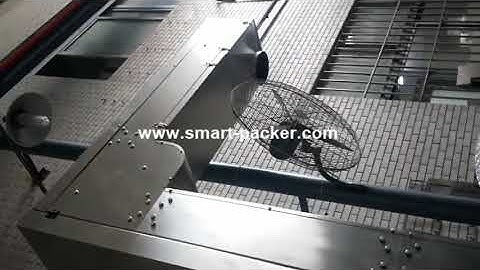 Z type elevator bucket delivery feeding machine Z type powder granule lifting refilling system