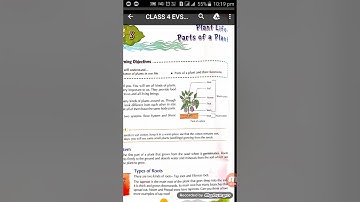 Class IV EVS 09-04-2020 By Mrs Poonam Singh