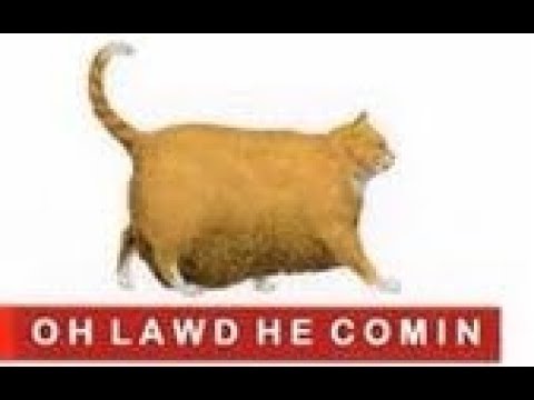 OH LAWD HE COMIN' | Chonk / Oh Lawd He Comin' | Know Your Meme