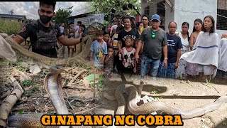 MAY MUNTIK MAKAGAT SA PAG PASOK NG COBRA #tolcobra #cobraprince #cobraking