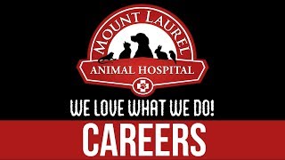 Mount Laurel Animal Hospital - Careers